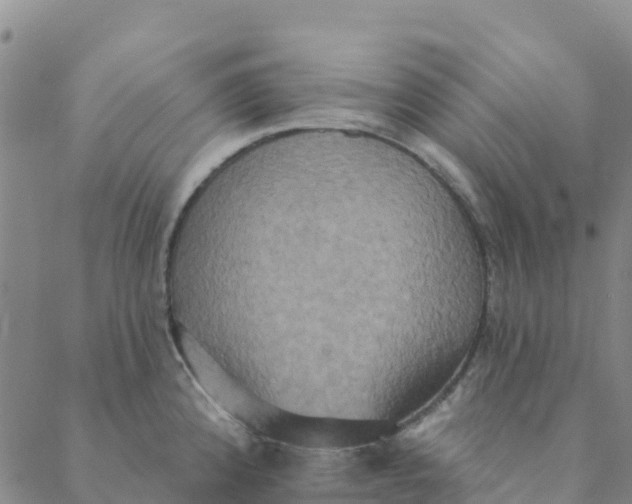 X0000088391192200706121202