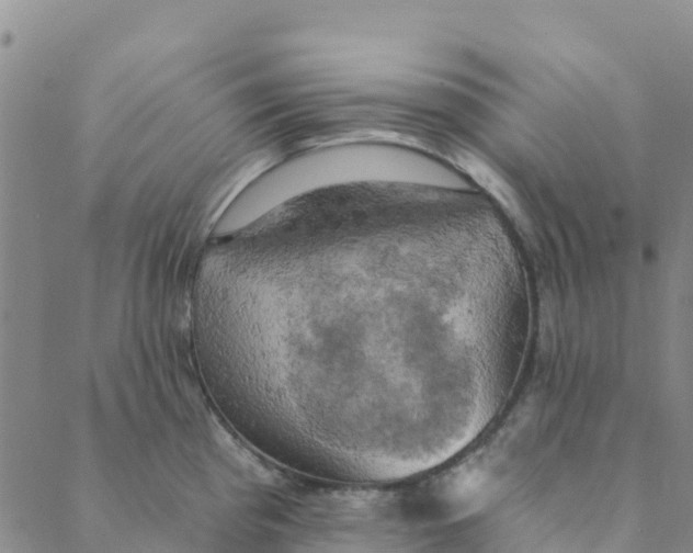 X0000088391193200706121202