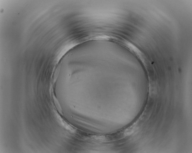 X0000088391194200706121202