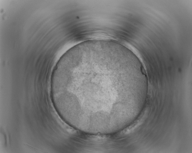 X0000088391195200706121202