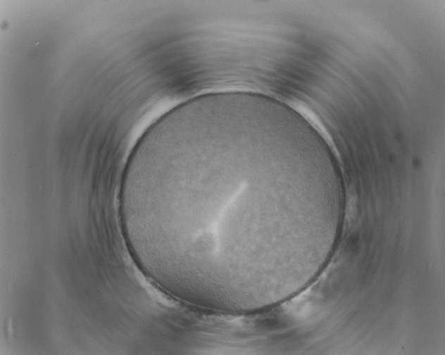 X0000088391197200706121202