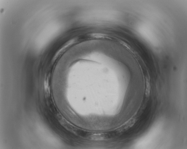 X0000088391198200706121202