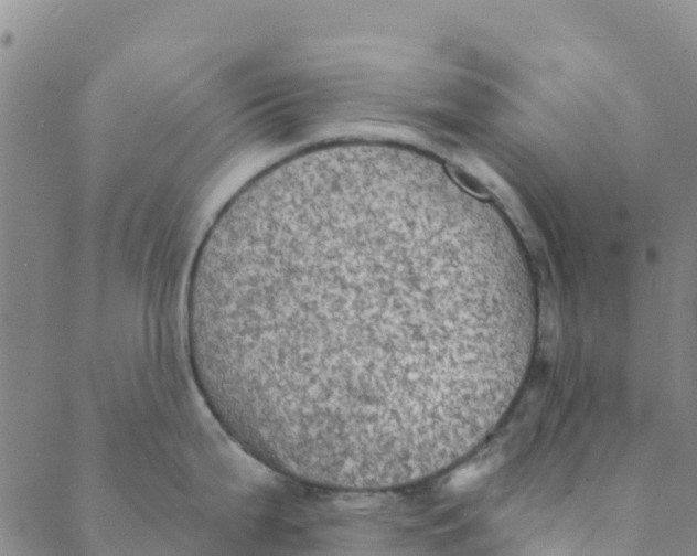 X0000088391199200706121202