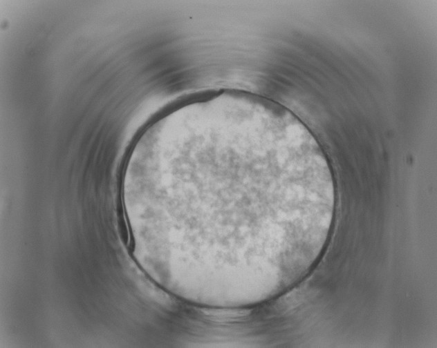 X0000088391200200706121202