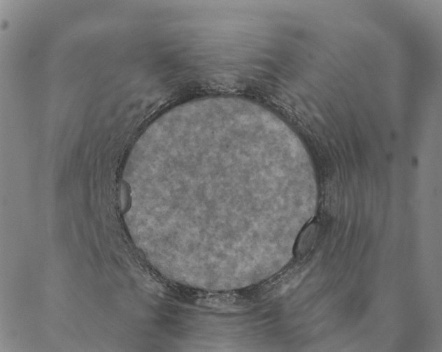 X0000088391201200706121201