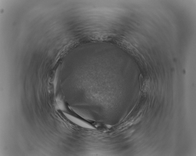 X0000088391202200706121201