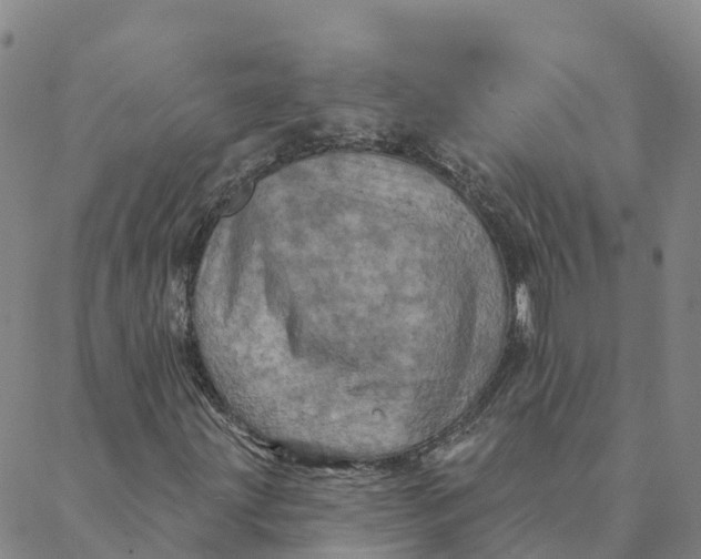 X0000088391203200706121201