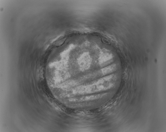 X0000088391205200706121201