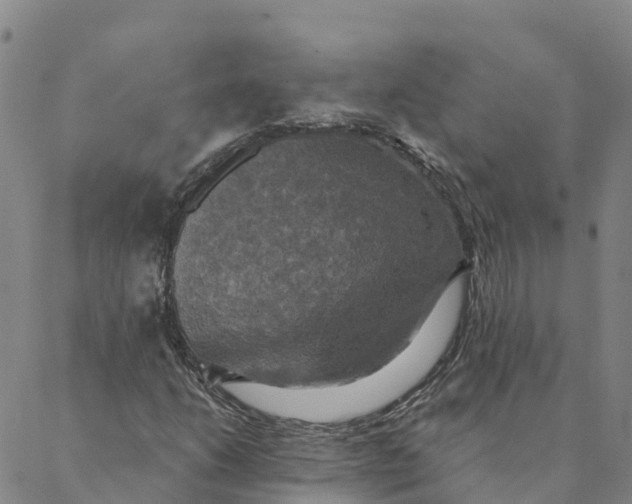 X0000088391206200706121201