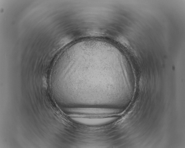 X0000088391209200706121201