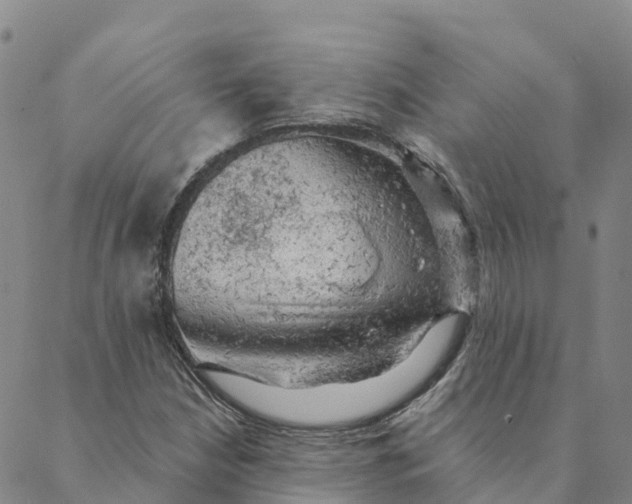 X0000088391210200706121201