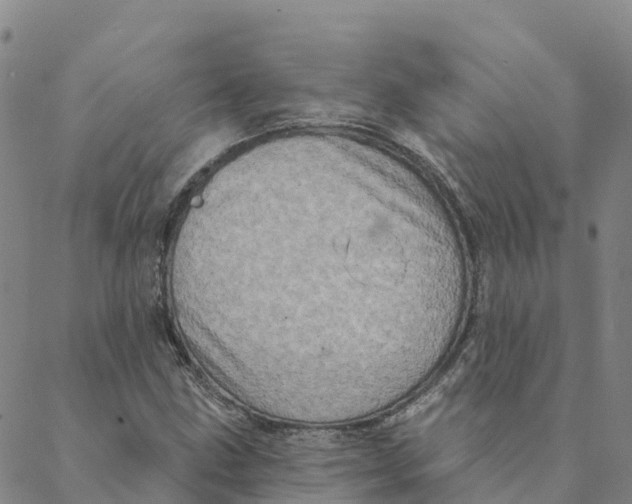 X0000088391211200706121201