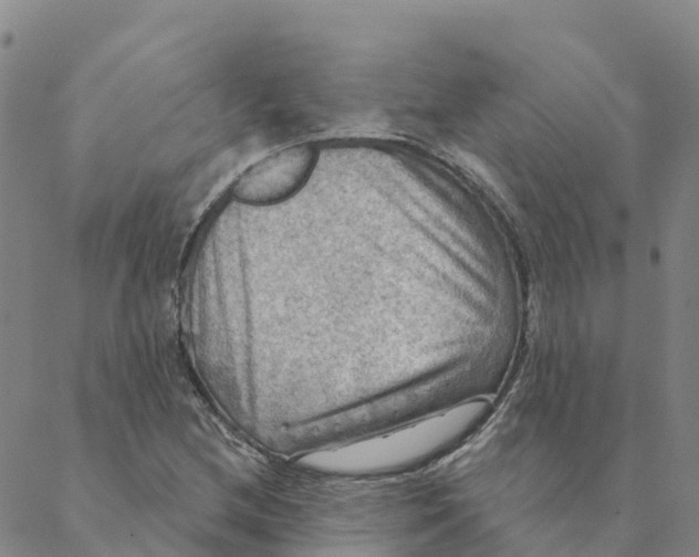 X0000088391212200706121201