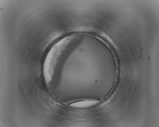 X0000088391213200706121201