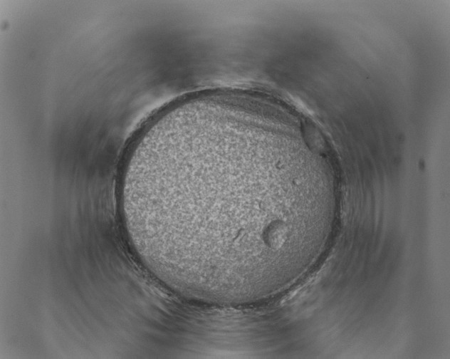 X0000088391214200706121201