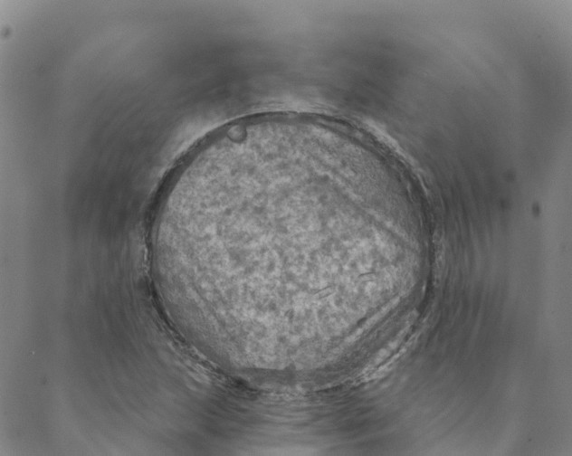 X0000088391215200706121201