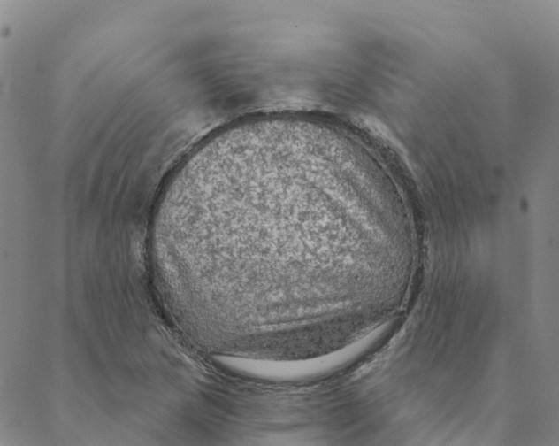 X0000088391217200706121201