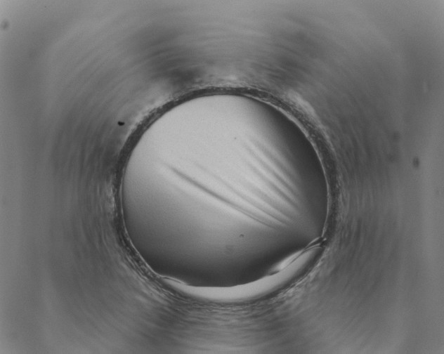 X0000088391218200706121201