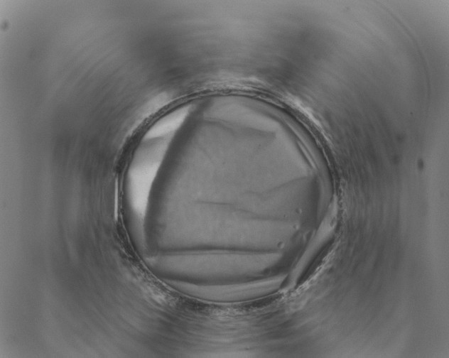 X0000088391219200706121201