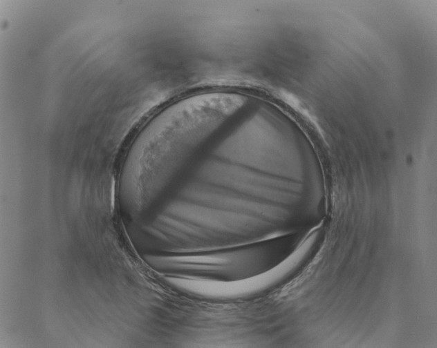 X0000088391221200706121202