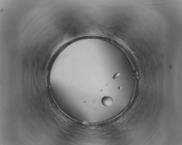 X0000088391222200706121202