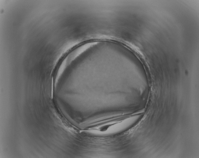 X0000088391223200706121202