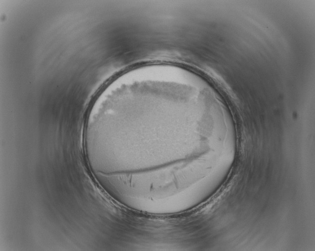 X0000088391224200706121202