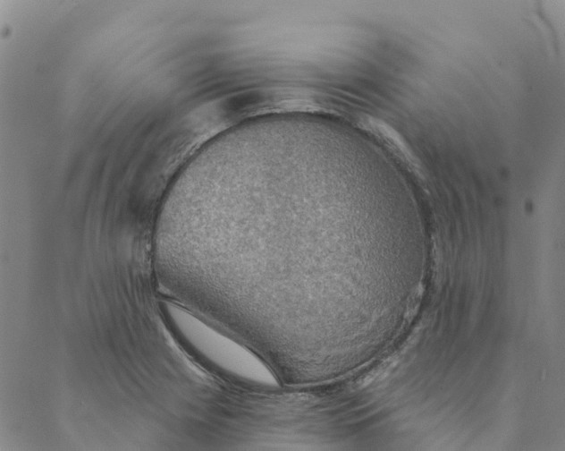 X0000088391225200706121202