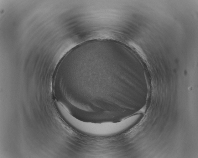 X0000088391226200706121202