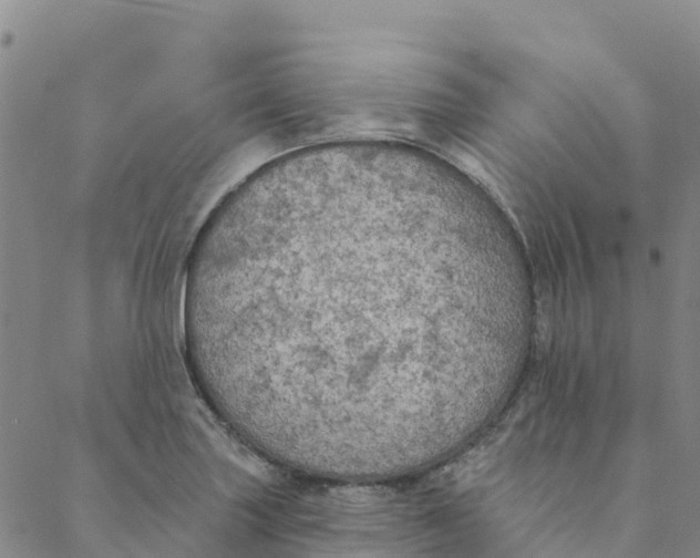 X0000088391227200706121202