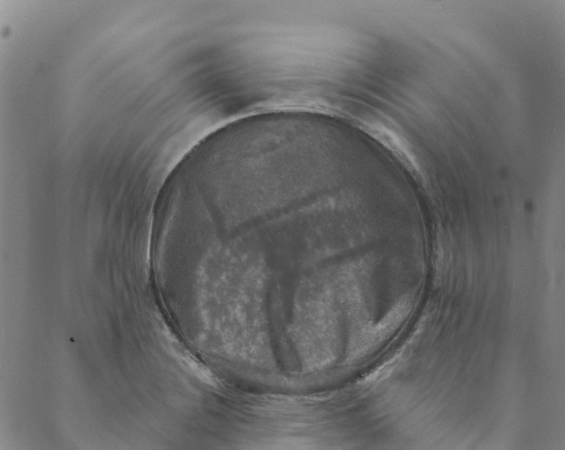 X0000088391228200706121202