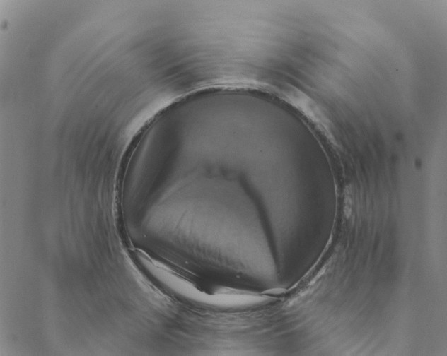 X0000088391229200706121202