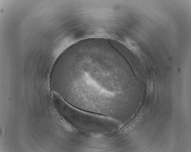 X0000088391230200706121202