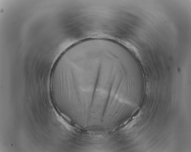 X0000088391231200706121202