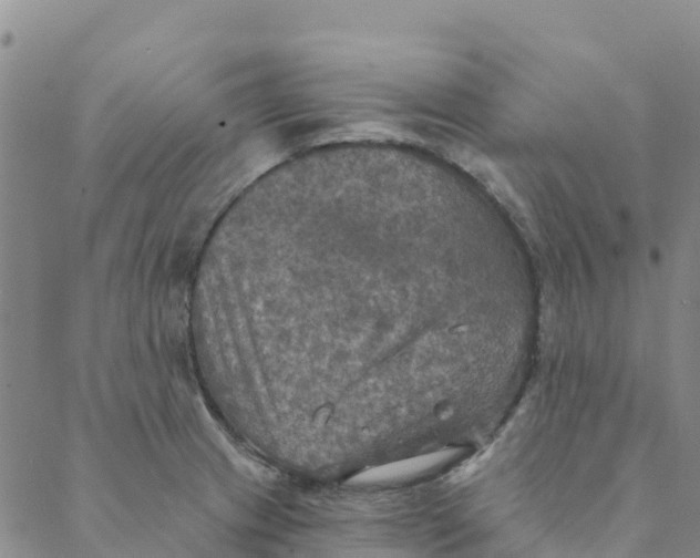 X0000088391233200706121202