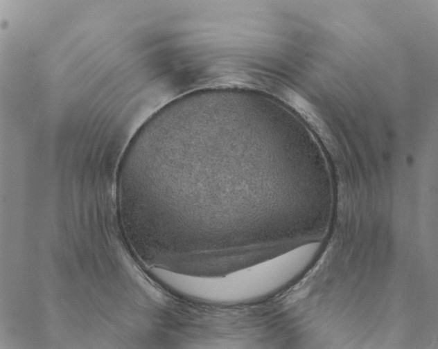 X0000088391234200706121202