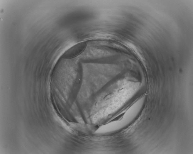 X0000088391235200706121202