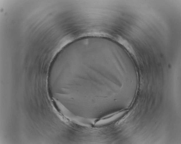 X0000088391237200706121202