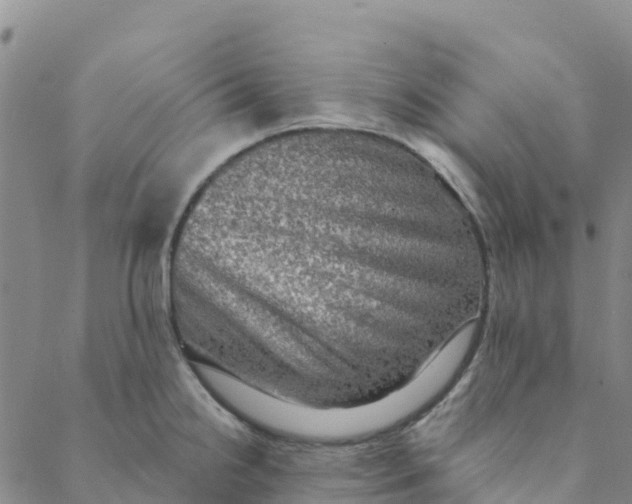 X0000088391238200706121202