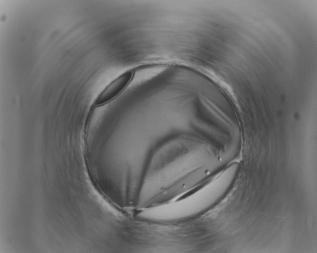 X0000088391239200706121202