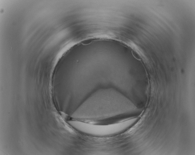 X0000088391240200706121202