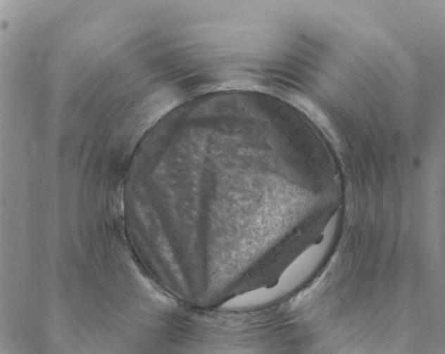 X0000088391241200706121202