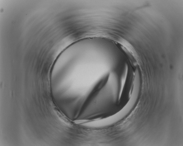 X0000088391242200706121202