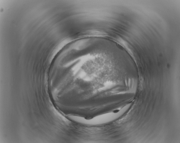 X0000088391243200706121202