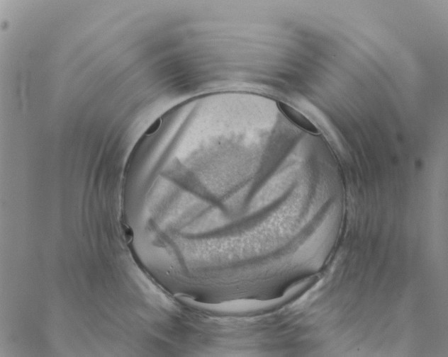 X0000088391244200706121202