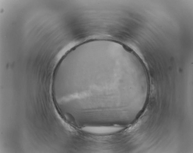 X0000088391245200706121202