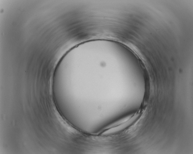 X0000088391246200706121202