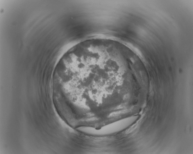 X0000088391247200706121202