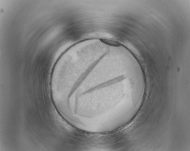 X0000088391248200706121202