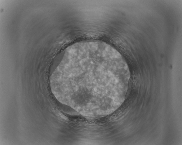 X0000088391249200706121201